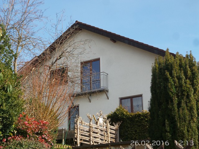 DG, 2016-02-26 12.13.26