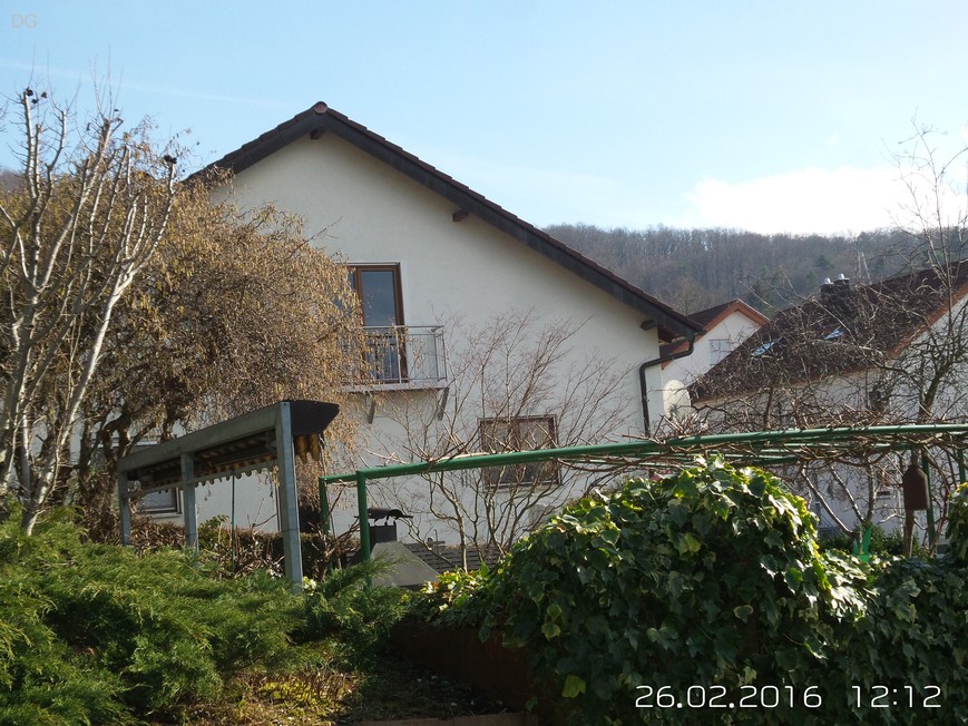 DG, 2016-02-26 12.12.29