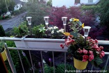 DG, michaeli_0223